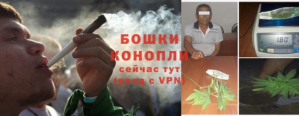 прущая мука Богородицк