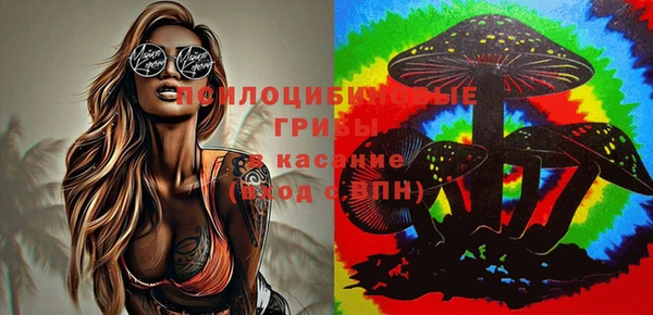 прущая мука Богородицк