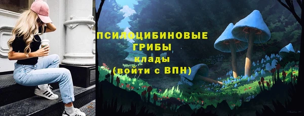 прущая мука Богородицк