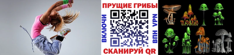 Купить закладки  Таганрог  Псилоцибиновые грибы GOLDEN TEACHER 